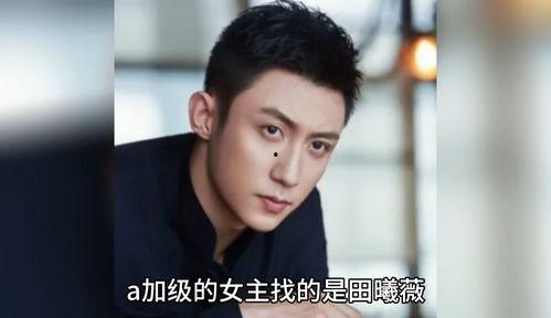 明星圈八卦爆料视频大全,明星八卦视频大汇总